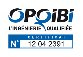 qualifications OPQIBI