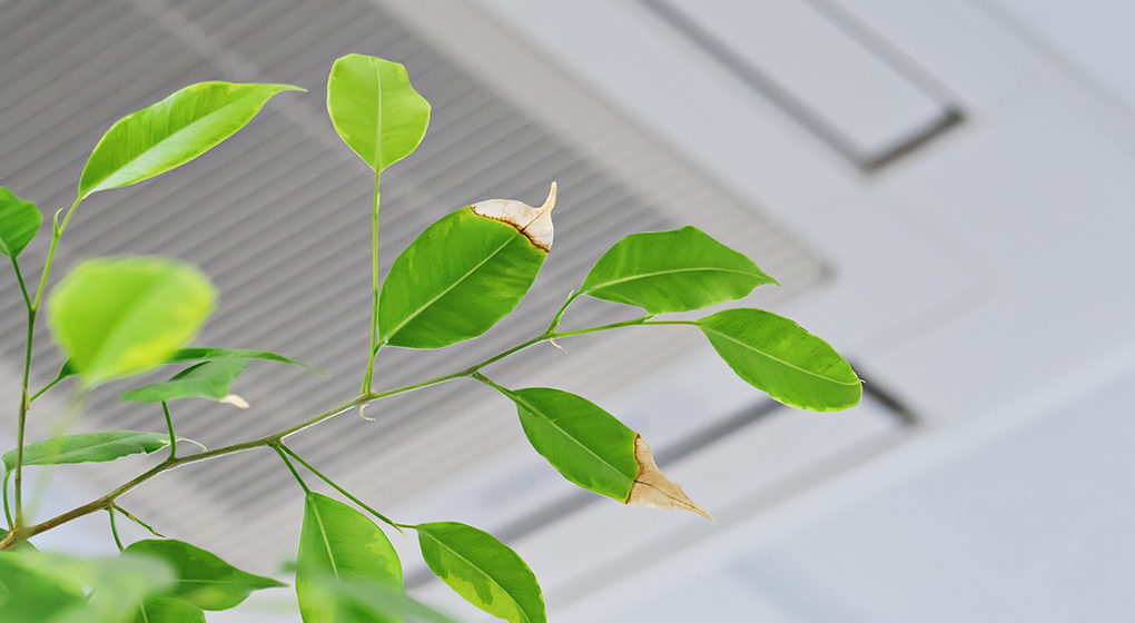 Qualité de l’air intérieur au bureau