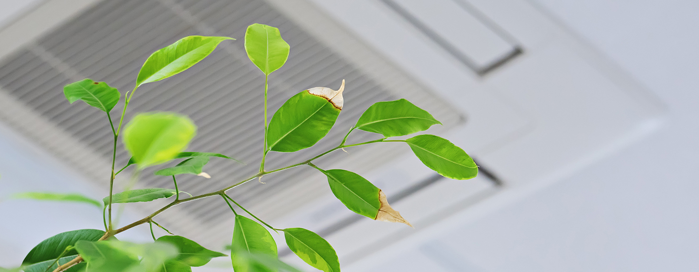 Qualité de l’air intérieur au bureau